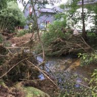 Die Flut – oder: Mensch und Natur