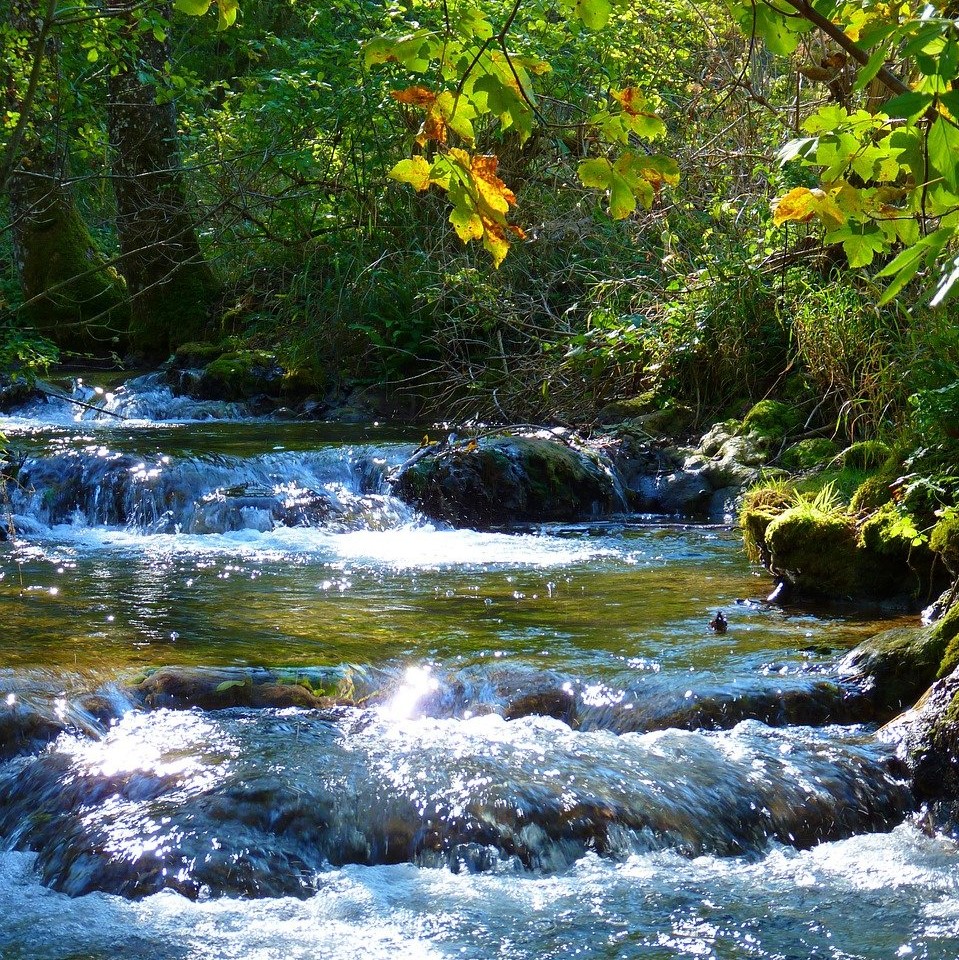 Anmerkungen zu den „Ordnungen der Liebe“ Anmerkungen zu den „Ordnungen der Liebe“