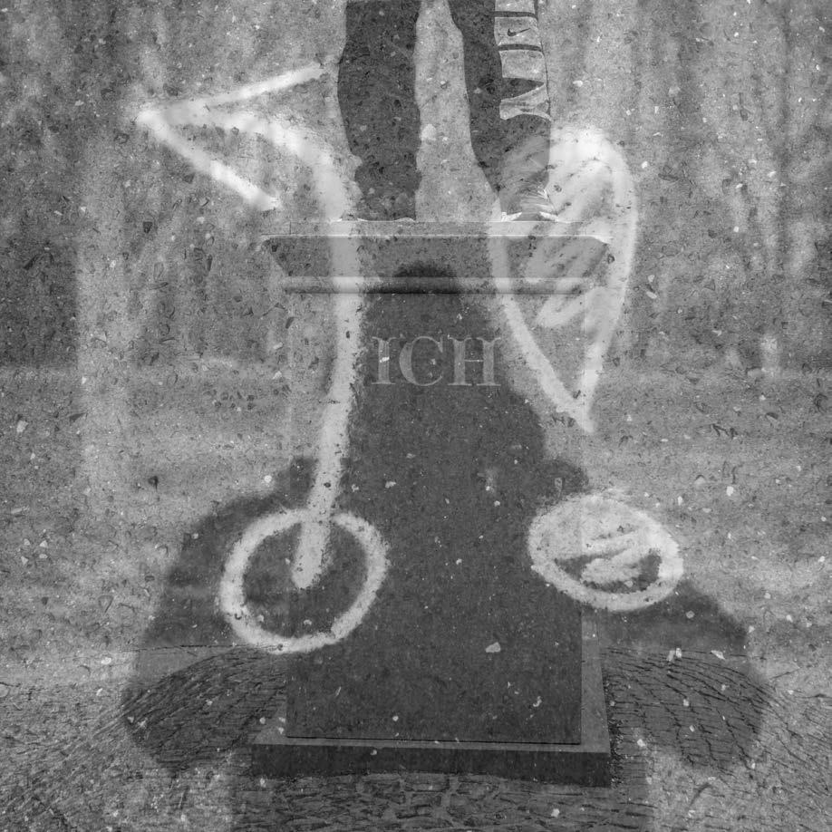 Nein zu Prüfungen! Plädoyer für eine wilde Aufstellungsarbeit * Nein zu Prüfungen! Plädoyer für eine wilde Aufstellungsarbeit *