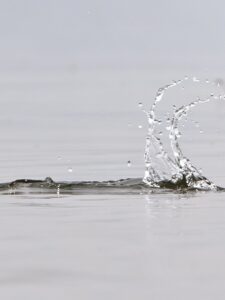 WENN DER STEIN PLUMPST WENN DER STEIN PLUMPST